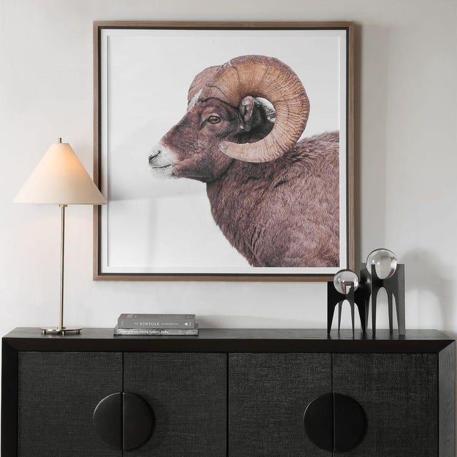 Bone Big Horn Ram - Framed Print For Sale - Image 7 of 9