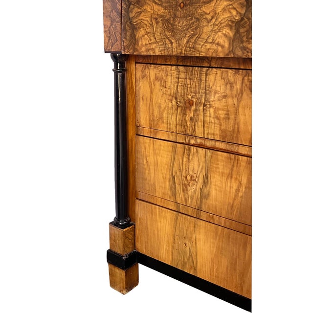 Wood German Biedermeier Black Walnut and Ebonized Chest of Drawers For Sale - Image 7 of 8