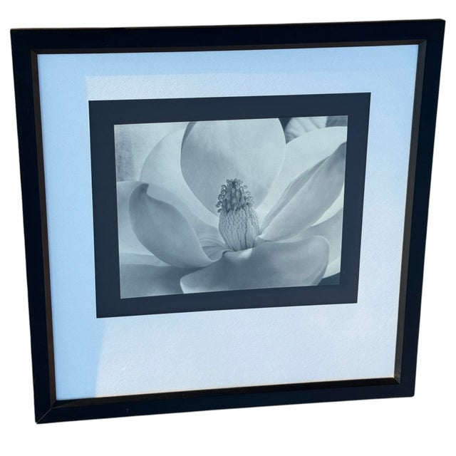 Imogen Cunningham's Iconic 1925 Black & White Photograph "Magnolia Blossom", Framed For Sale In Phoenix - Image 6 of 10