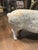 Painted White Cast Iron Pigs, Set of 2 For Sale - Image 10 of 15