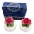 Circa 1960s Radnor Bone China Floral Salt & Pepper Shakers in Original Box For Sale