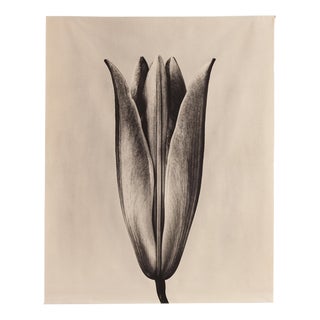 Lily 23 - Organic Cotton Canvas Scroll on Bamboo, Limited Edition 5 2023 For Sale