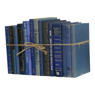 Decorative Books - Petite Vintage Denim Book Bundle - 1 Foot of Blue Books For Sale