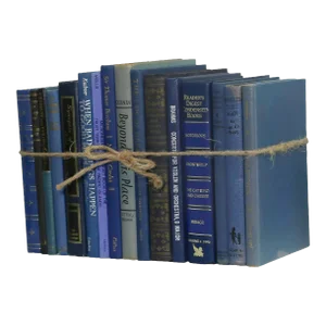Decorative Books - Petite Vintage Denim Book Bundle - 1 Foot of Blue Books