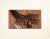 Image dimensions: 25 x 43.5 cm. Une Aile is a beutiful etching and aquatint on paper, realized in 1962 by the French burin...