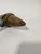 Turquoise Native American, Western Great Plains Ceremonial Beaded War Club Circa 1900 For Sale - Image 8 of 13