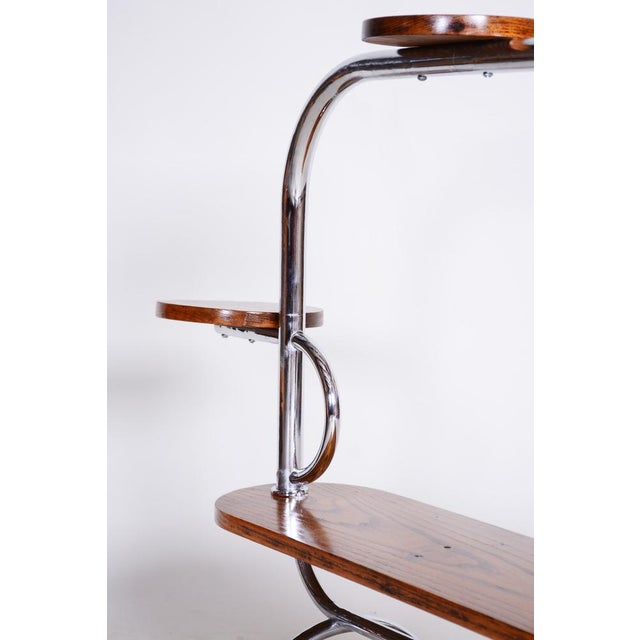 Bauhaus Flower Stand in Oak & Chrome, Czech, 1930s For Sale - Image 10 of 15