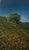 A beautiful original oil on canvas titled “La Primavera” (Spring) by acclaimed Mexican landscape artist Rafael Huerta...