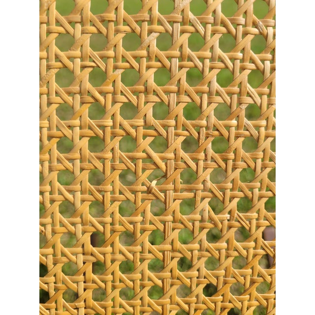 Mid-Century Modern Thonet-Style Bentwood & Cane Rocking Chair For Sale - Image 11 of 11