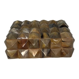 Pyramidal Horn Decorative Bone Box For Sale