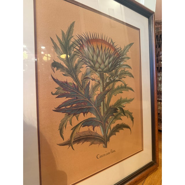 Wood Late 20th Century Framed Besler Basilius "Cinera Cum Flore" Hand-Colored Artichoke Reproduction Print For Sale - Image 7 of 14