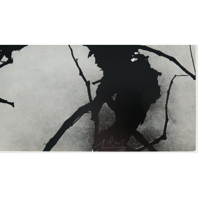 Lucien Clergue, Secret Camargue, 1960, Heliogravure For Sale - Image 6 of 7