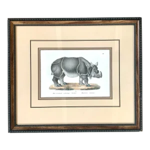 Rhino Framed Wildlife Original Lithograph Print - One of 4 Series