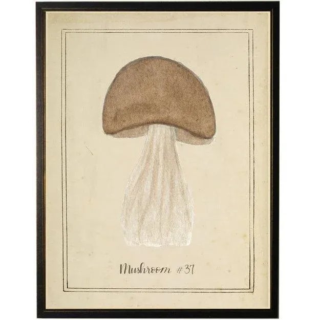 Asian Brown Mushroom in Black & Copper Shadowbox 13 X 17 For Sale - Image 3 of 3