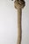 Modern Mid-Century Tulip Lamp in Woven Wood and Willow from Peill & Putzler, 1960s For Sale - Image 13 of 18