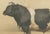 Borie, Breton Bull, French Cattle Breed, 1863, Chromolithograph For Sale - Image 4 of 9
