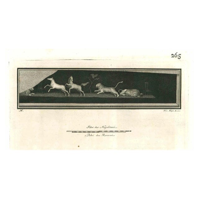 Vincenzo Aloja, Ancient Roman Fresco of Animals, Original Etching, 18th Century For Sale