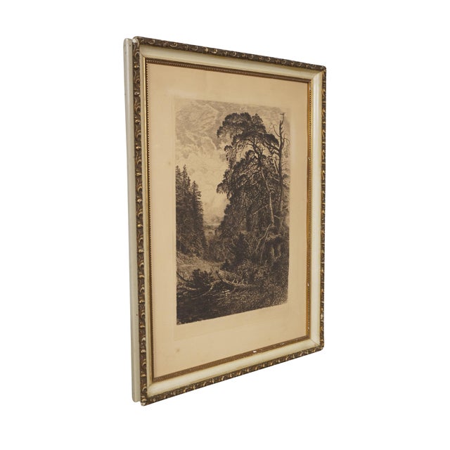 Antique English etching featuring a grove of gnarled pine trees. Through the brush, you can see a church steeple and...