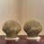 Metal Mid-20th Century Solid Brass Seashell Bookends — A Pair For Sale - Image 7 of 17