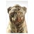 Terracotta Lion Statues, Set of 2 For Sale - Image 10 of 11