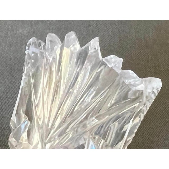 Salt Cellars from Baccarat, 1860s, Set of 2 For Sale - Image 13 of 14