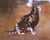 Pair of 19th Century French Pendant Cat Oil on Canvas Paintings Signed A. Pernot For Sale - Image 13 of 18