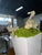 Botanical Mix Floor Arrangement For Sale - Image 4 of 7