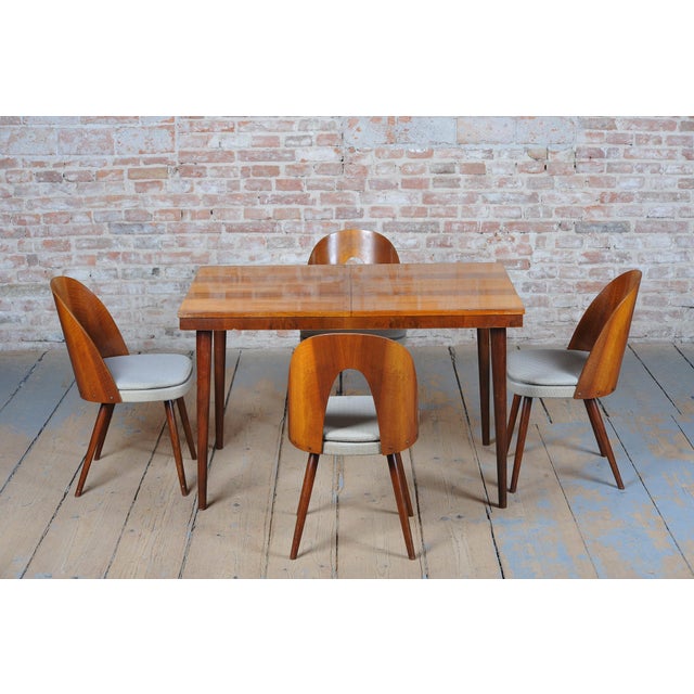 Mid-Century Chairs in Walnut attributed to Antonín Šuman, Czech, 1950s, Set of 4 For Sale - Image 14 of 18