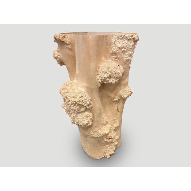 Andrianna Shamaris Rare Bleached Teak Root Pedestal For Sale - Image 10 of 18