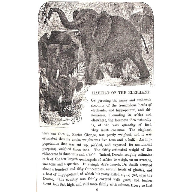 "Wild Sports of the World: A Boy's Book of Natural History and Adventure" 1862 Greenwood, James For Sale - Image 10 of 12