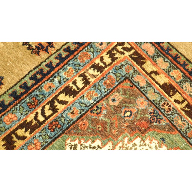 1920s Hand Knotted Northwest Persian Camel Hair Sarab Gallery rug.4"9"x 11' For Sale - Image 5 of 18