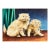 1970’s Original Folk Art Double Cat Painting Signed For Sale