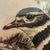 Tan Mid-Century Linda Lloyd Kildeer Shorebird Original Signed Intaglio Etching 62/200 For Sale - Image 8 of 12