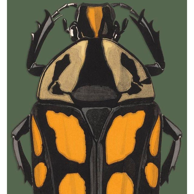 The series was produced by CFA editions from original pochior prints by E.A. Seguy. The series of insects that Seguy...