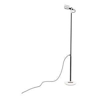 Sintesi Terra Floor Lamp by Ernesto Gismondi for Artemide, 1970s For Sale