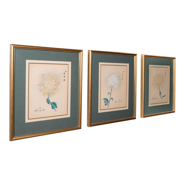 3 Vintage Botanical Pictures, Japanese, Woodblock Print, After Hasegawa, Art For Sale
