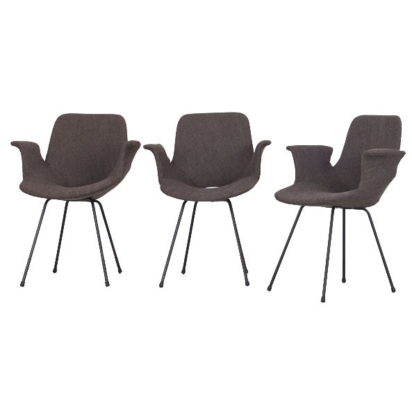 Model Medea Chairs with Fabric Cover by Vittorio Nobili for Frattelli Tagliabue, 1960s, Set of 3 For Sale