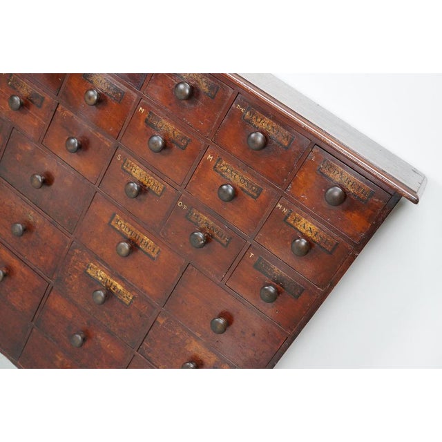 19th Century Hardwood Apothecary Cabinet, England For Sale - Image 17 of 18