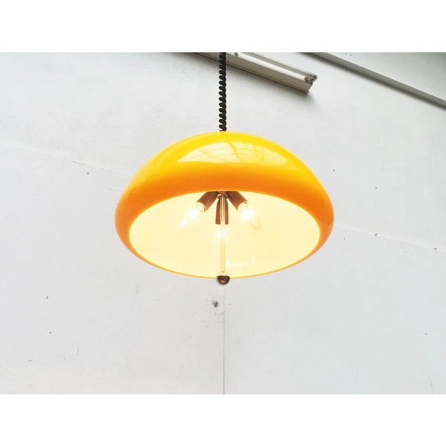 Silver Space Age Cabras Pendant Lamp by Luigi Massoni for Guzzini For Sale - Image 8 of 18