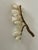 Delicate Vintage Alabaster Grape Vine Cluster For Sale - Image 4 of 4