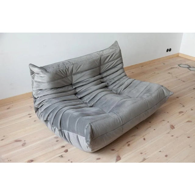 Set of Elephant Grey Velvet Togo 2- and 3-Seat Sofa by Michel Ducaroy for Ligne Roset For Sale - Image 9 of 11