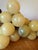 Light Yellow Vintage Italian Alabaster Grape Cluster, Extra Large, Wood/Vine Stem For Sale - Image 8 of 13