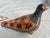 Rustic Pair of Vintage Mexican Folk Art Hand Painted Clay Bird Pidgeons For Sale - Image 3 of 12