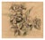 Kathleen Ney Floral I on Kraft Paper Drawing For Sale In Seattle - Image 6 of 7