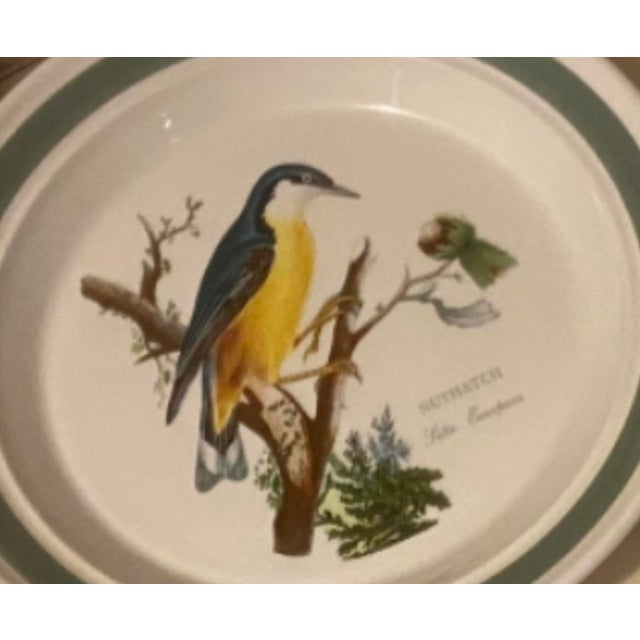 Vintage Portmeirion Birds of Britain Nuthatch Bread & Butter Plate – Green Band For Sale - Image 4 of 4
