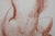 Antoniucci Volti, Nu de dos (Nude), Lithograph For Sale - Image 4 of 6