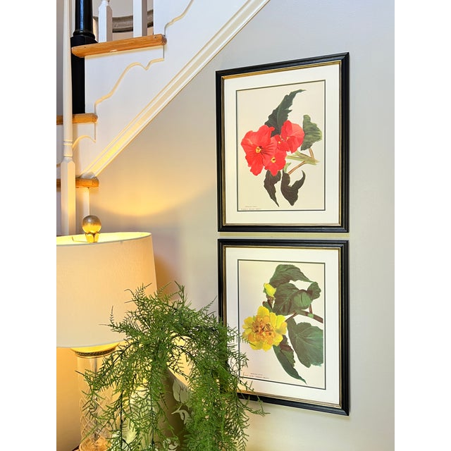 This is a gorgeous set of 2 framed original vintage botanical Paris flower prints that were published in 1946. Whether you...