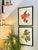 This is a gorgeous set of 2 framed original vintage botanical Paris flower prints that were published in 1946. Whether you...