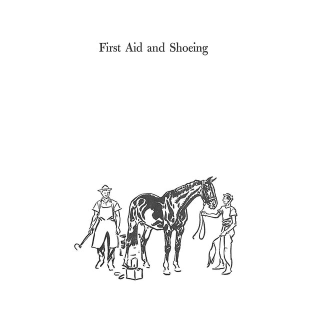 1960s "Horse and RIder: 1000 Questions and Answers for the Equestrian" 1964 Disston, Harry For Sale - Image 5 of 8