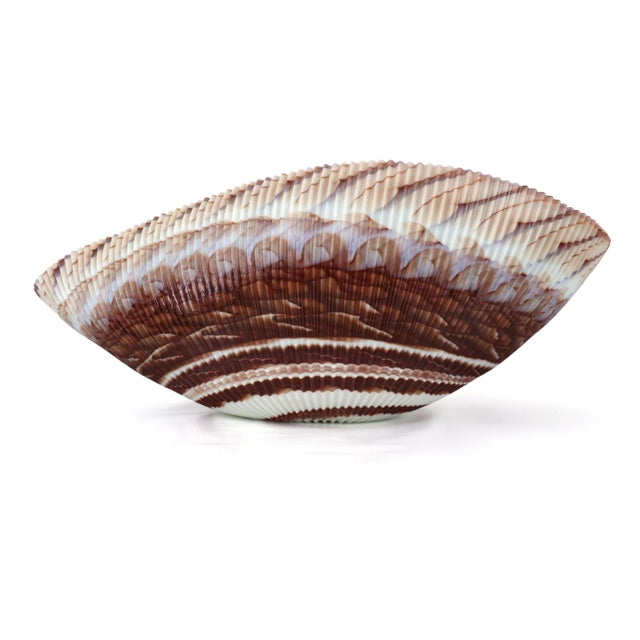 Murano Large Yalos Murano Shell Ivory and Brown Glass Bowl - Folded Glass Centerpiece For Sale - Image 4 of 15